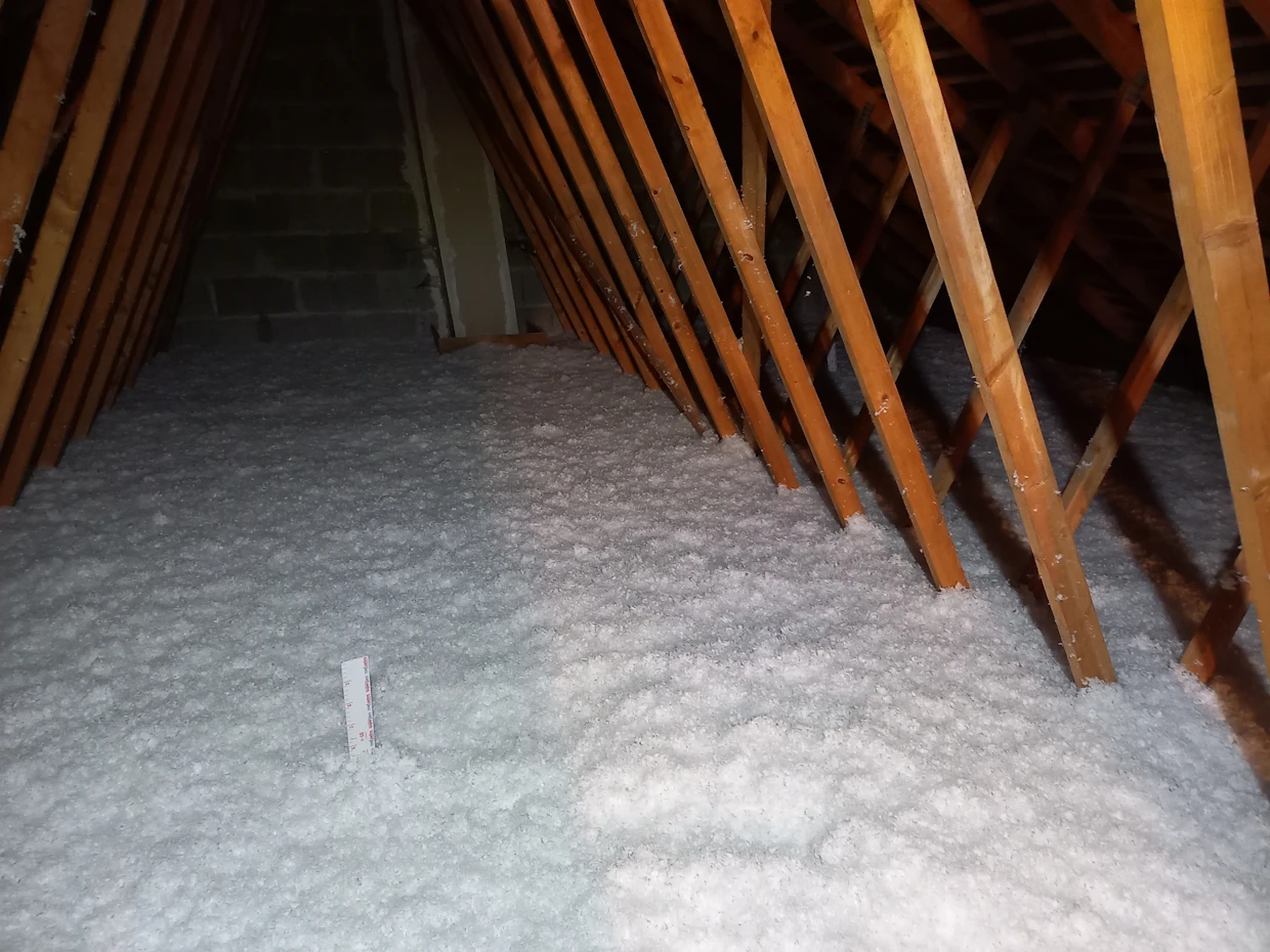 CG Isolation | Contact CG Isolation | Contact